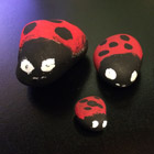 Painted Ladybug Rocks